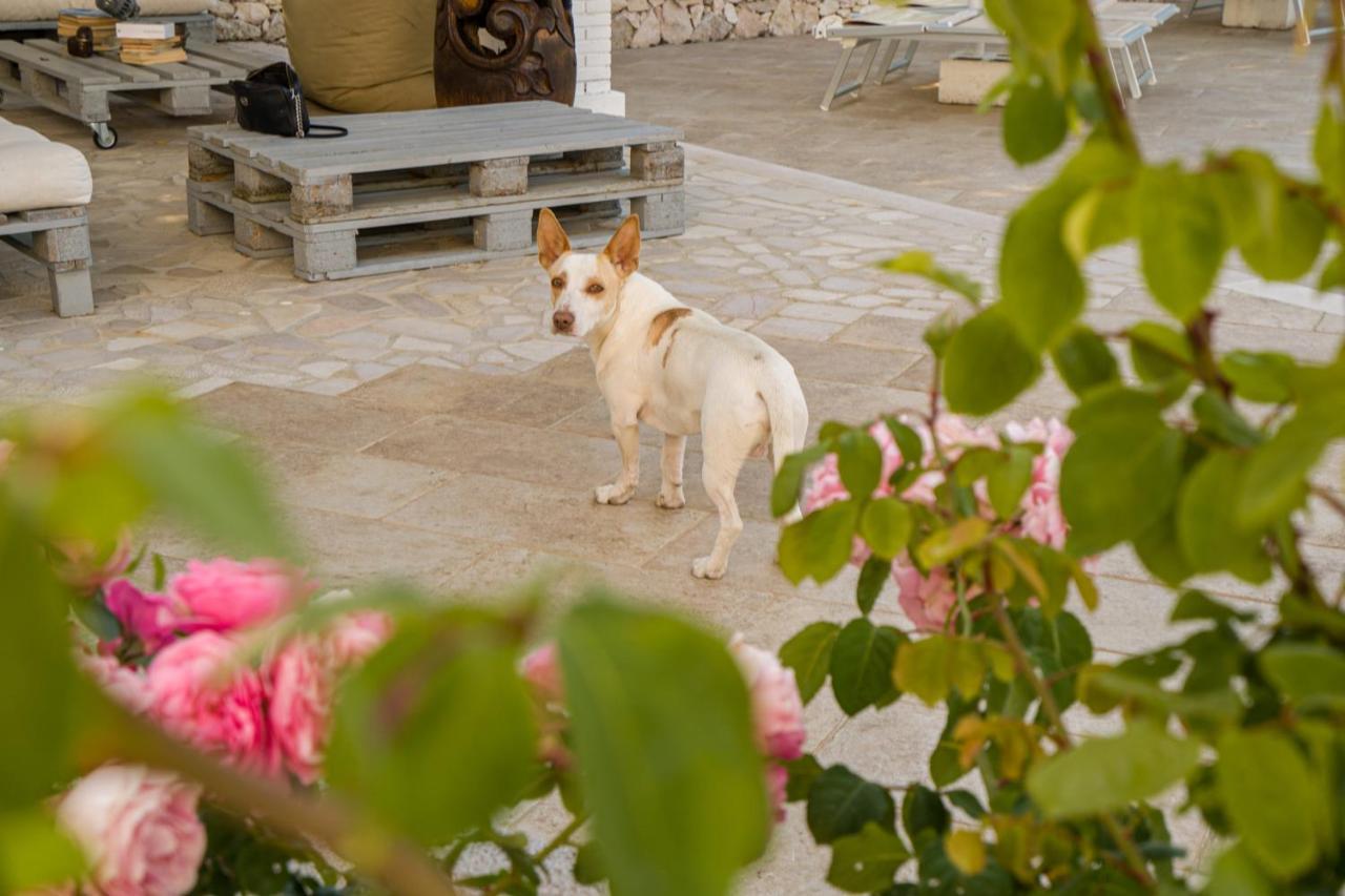 Borgo Canneto Holiday home *