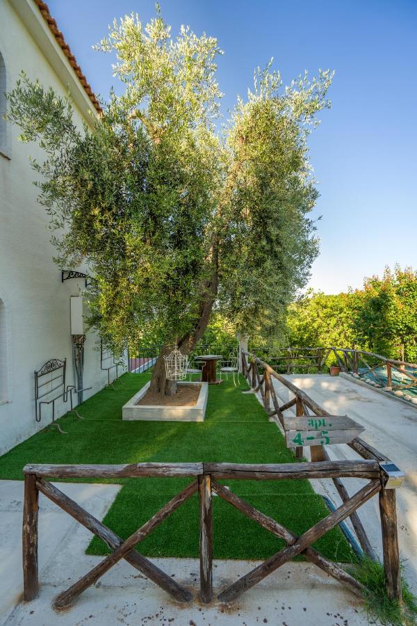 Borgo Canneto *