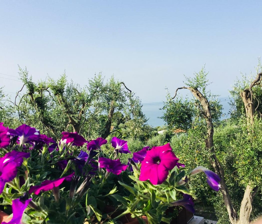 Borgo Canneto Holiday home *